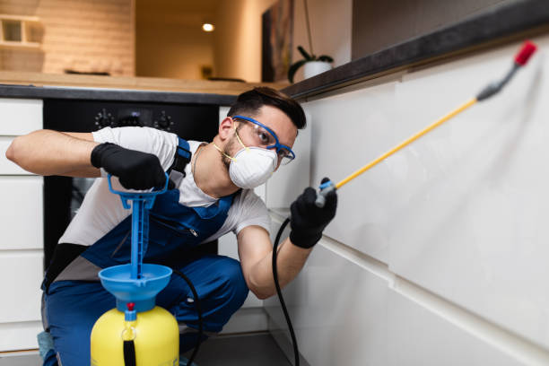 Best Termite Control Services  in Oakmont, PA